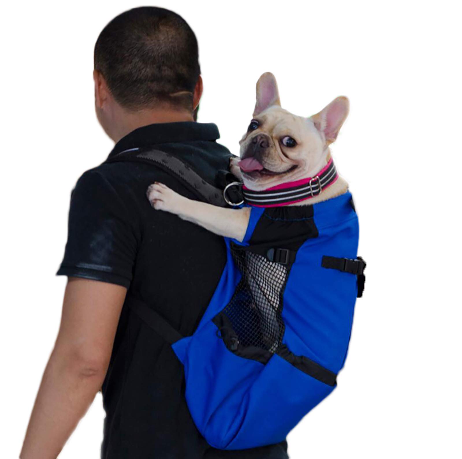 Sac à dos pour grand chien Bleu L réglable et respirant pour Golden et Bulldog