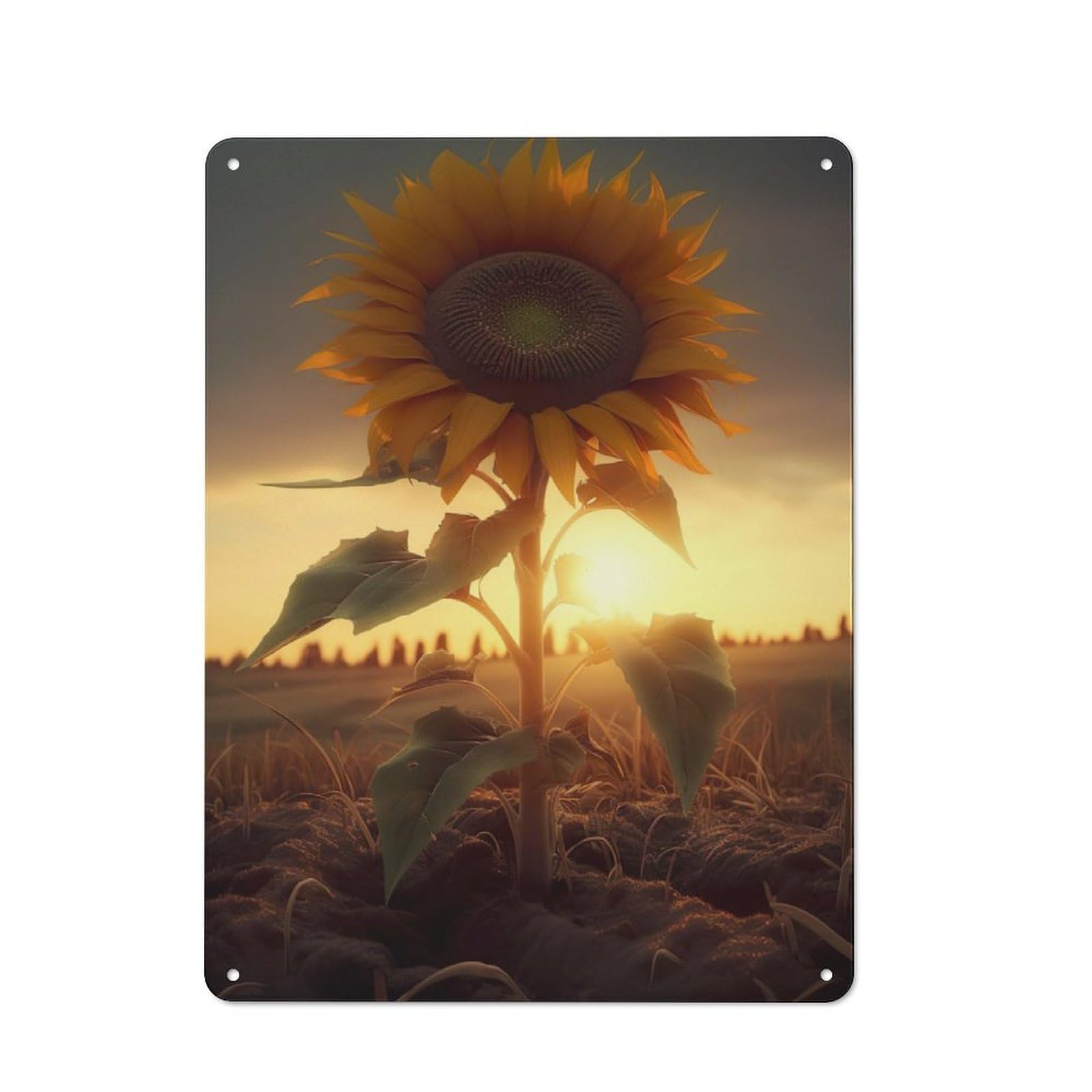 Junmoney Sunflower Sunset Ground Rustic Tin Sign 40X30cm For Café Or Restaurant, A Decorative Christmas Gift For Hospitality Interior Collectors