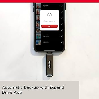 Amazon.com: SanDisk 256GB iXpand Flash Drive Luxe with