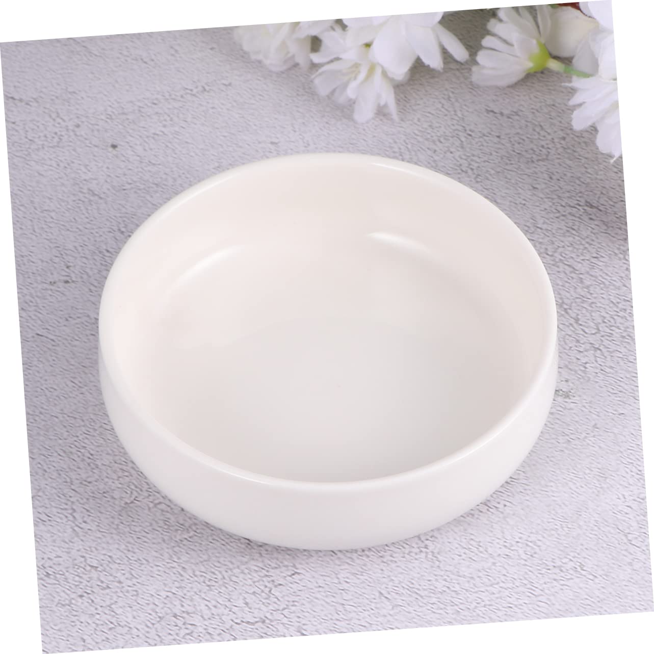 HOLIDYOYO Ceramic Reptile Feeding Bowl Diameter Lightweight Water Dish for Tortoises and Lizards Easy to Durable and Reliable for Terrariums and Pet Care