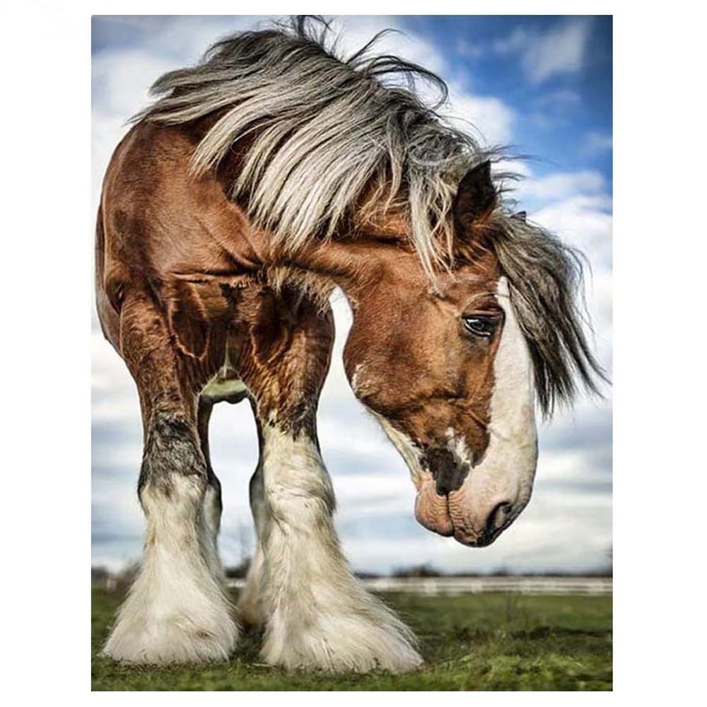 Obraz diamentowy Clydesdale koń, zwierzę 5D, DIY, dla dorosłych, dzieci, haft krzyżykowy, pełne wiercenie, sztuka, rzemiosło, haft kryształowy, do domu, dekoracja ścienna, według numeru, zestawy
