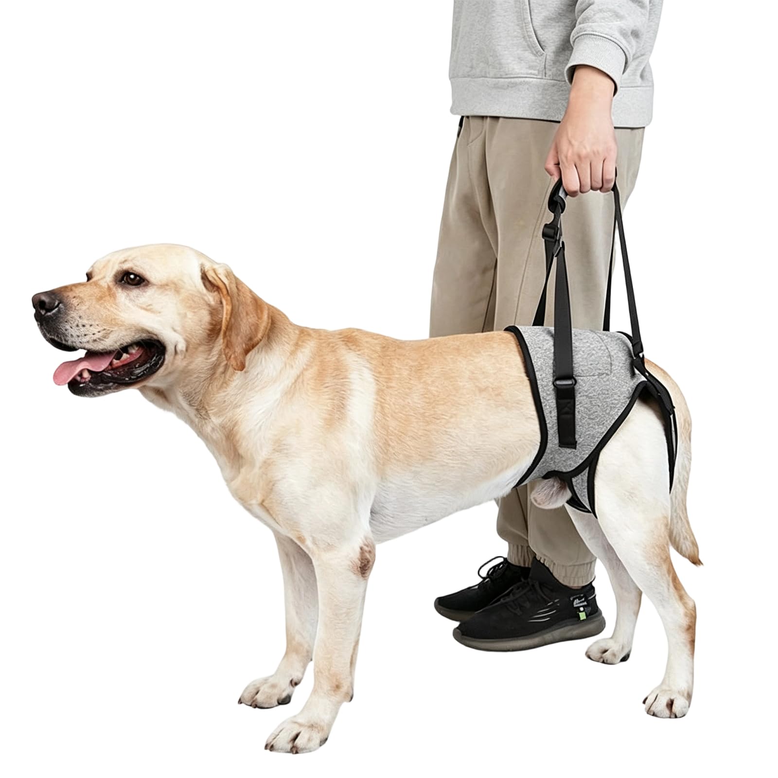 Hounyou Adjustable Dog Lifting Harness, Soft Dog Support Harness for Back Legs, Comfortable Dog Sling for Injured, Senior, Arthritic and Disabled Dogs, Rear Leg Walking Aid Lift Harness