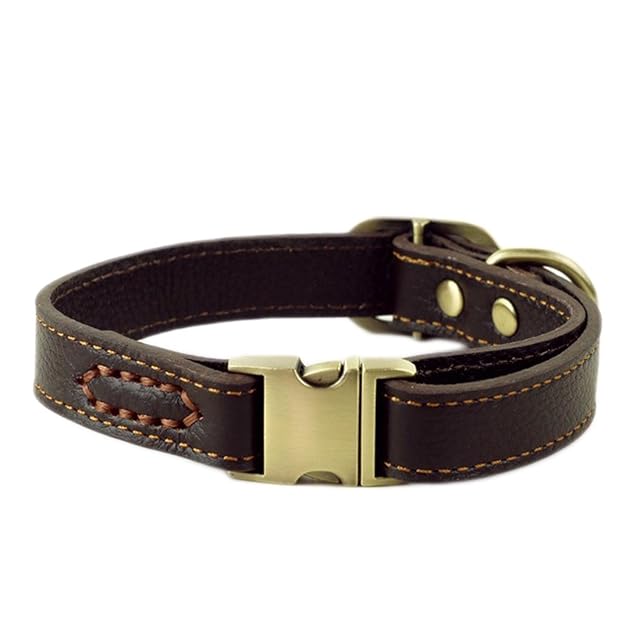 Collar para Perro Collar básico de Piel con Cierre de Clic, Ajustable