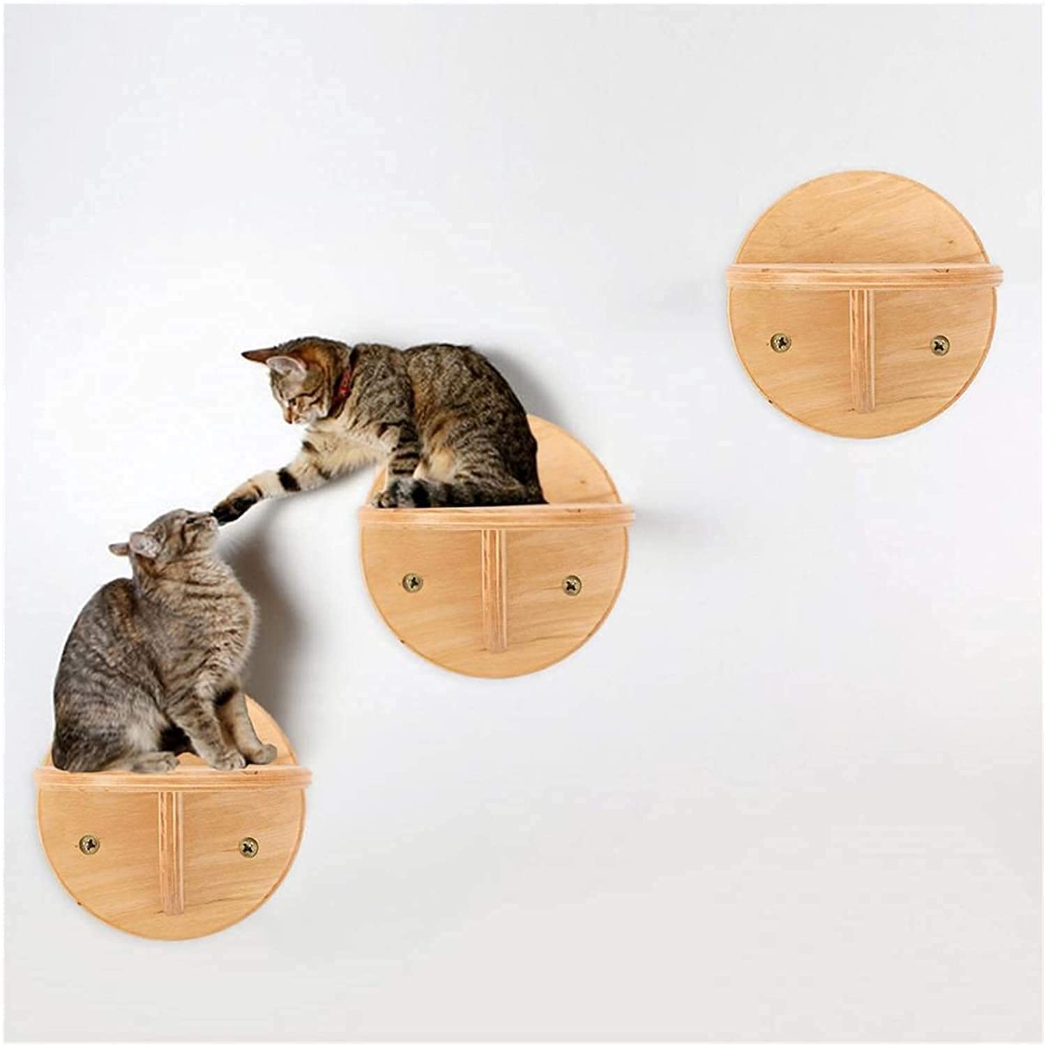 Buy 1PC Cat Shelves Wall ed, Cat Wall Bed, Wall ed Cat Shelf, Wooden