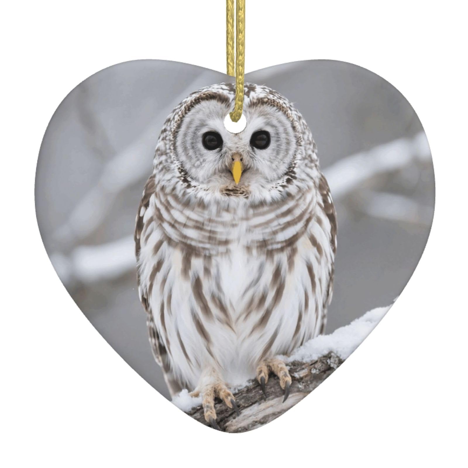Curious Barred Owl Closeup Christmas Ornament 2025 Heart Ceramic Hanging Ornaments for Home Decor Christmas Decorations with Gold Rope Double-Sided Xmas Tree Ceramic Hanging for Holiday Party