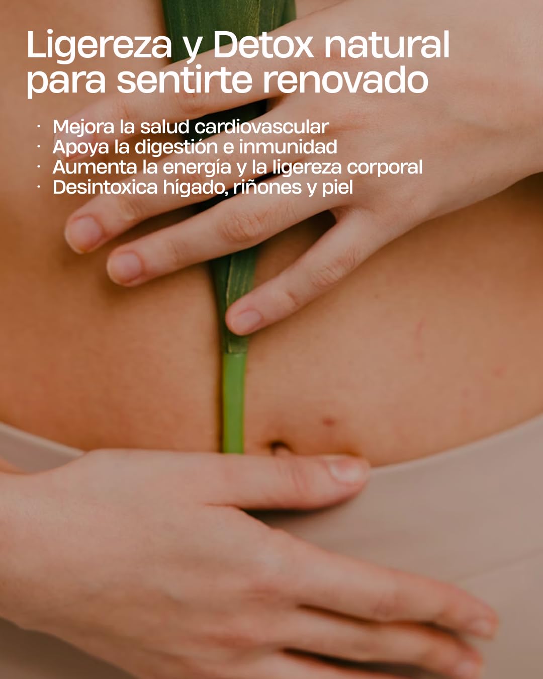 Drenante & Detox Natural (Para 30 dias) Elimina Líquidos y Toxinas, Reduce Retención de Líquidos y Celulitis – Depurativo Vegano sin Gluten – Favorece Digestión, Tránsito Intestinal y Ligereza