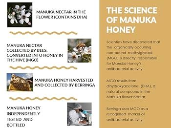 Amazon.com : Berringa Australian Super Manuka Honey, Ultra