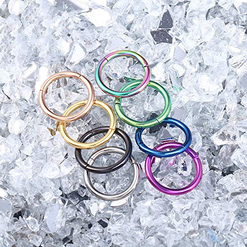 Missnity 316L Surgical Steel Hinged Nose Rings Hoop 18G 18 Guage Clicker Segment Nose Hoop, Silver, 8Mm #TOP1