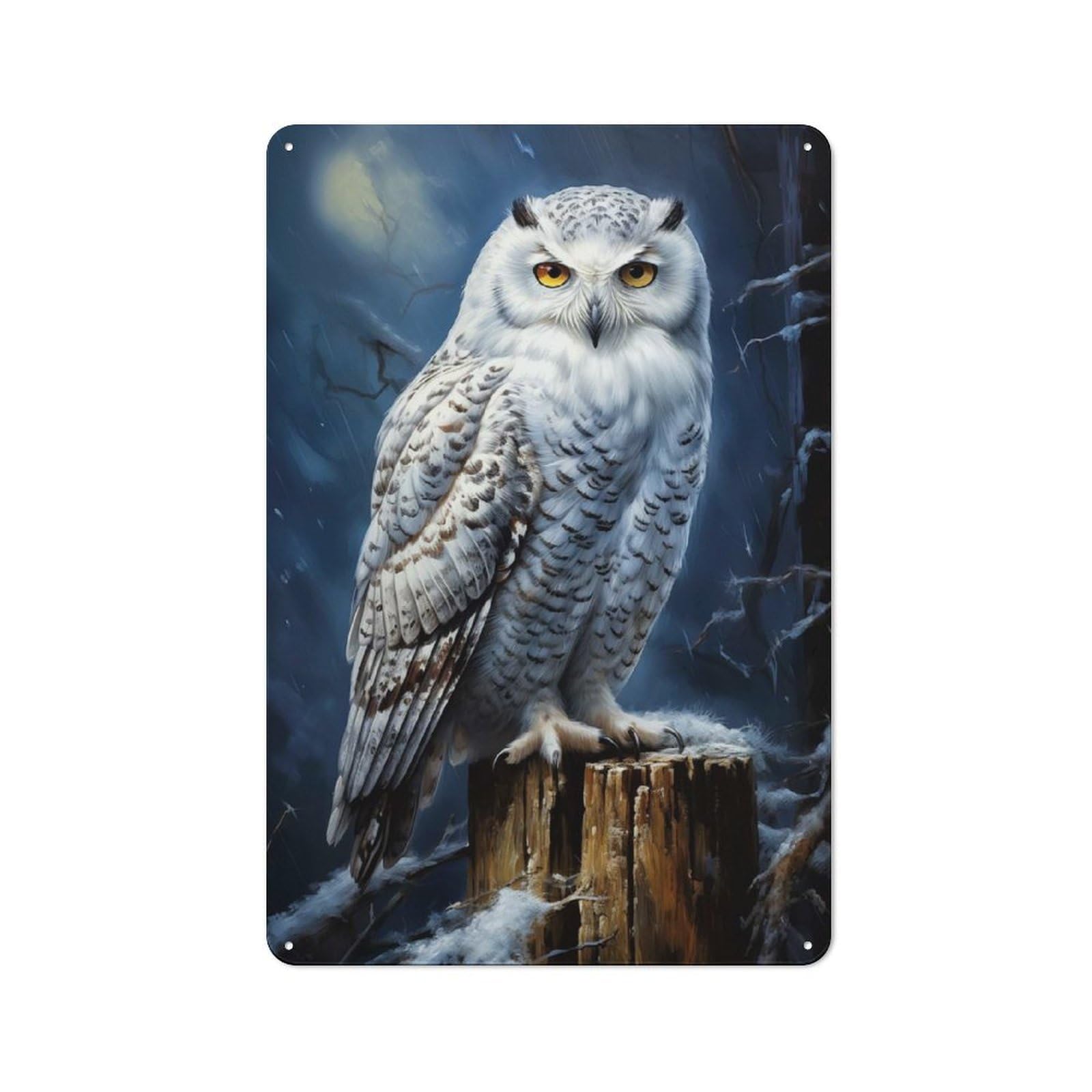 Junmoney Style-1 Game Room Arctic Snowy Owl Tin Wall Sign, Wall Decor For Office, Study, Game Room Or Hobby Space, 30X20cm