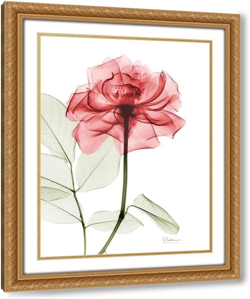 ArtDirect - Koetsier, Albert 15x18 Black Modern Framed Art Print Titled: Rosey Red Trance