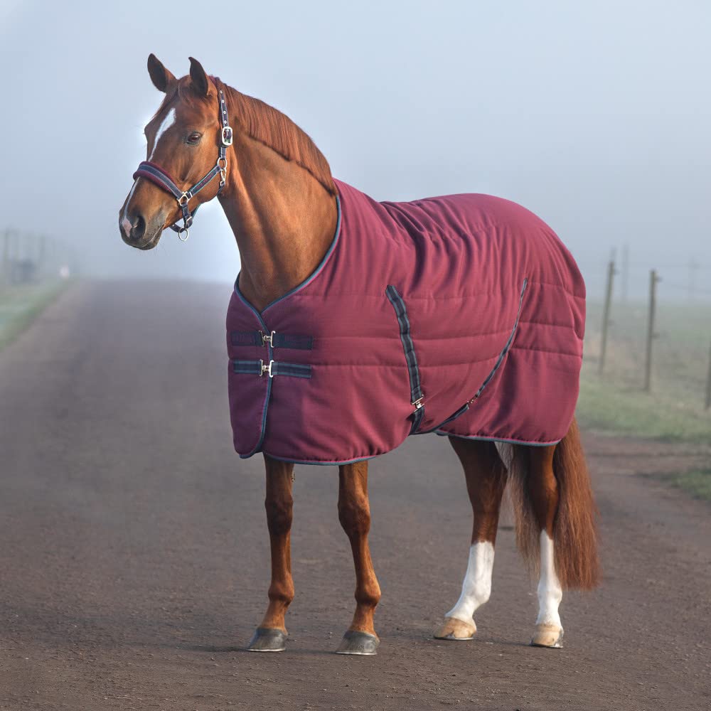 Couverture d'écurie Rambo Stable excellence et durabilité Horseware