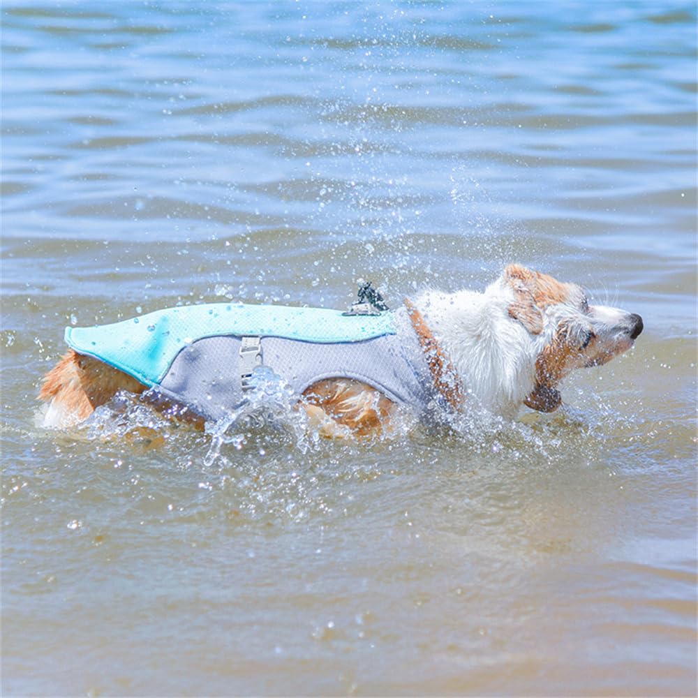hundeliebling PetCool Kühlweste für Hunde Sonnenschutz-Kühlweste für Hunde, reflektierende Kühlweste