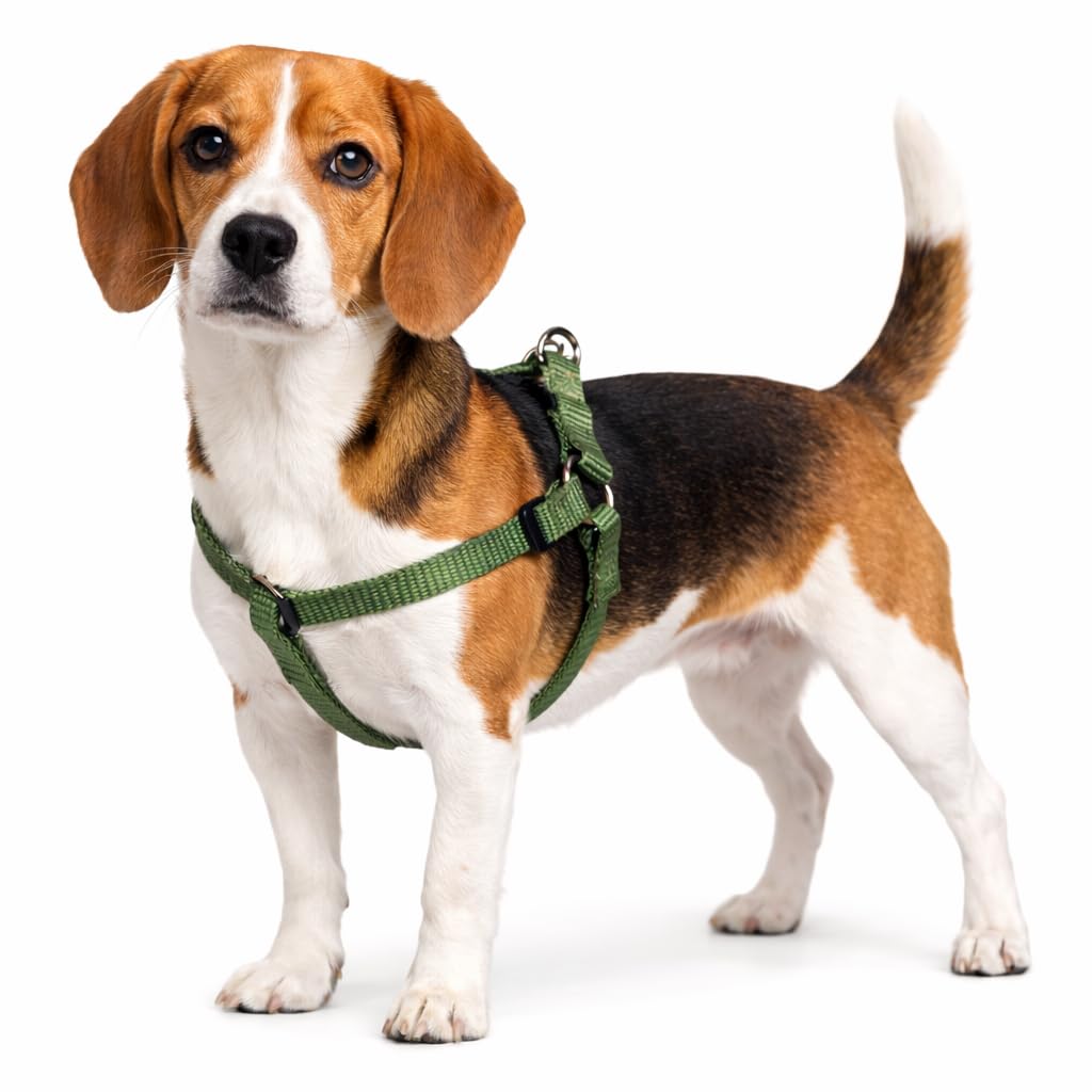 Dog Harness Step&Go Ziggi Khaki M 35-60cm 35-60cm 20mm