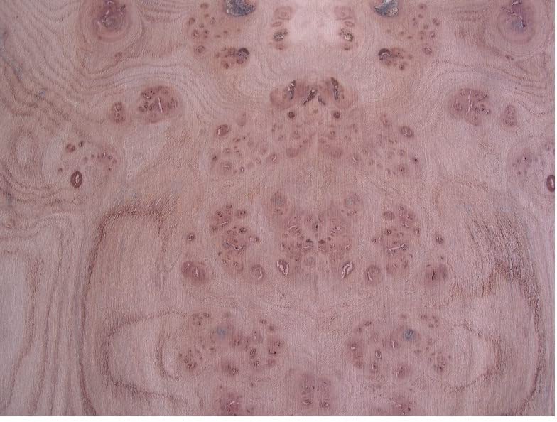 ELM BURL Veneer 10 MIL Paper Backed 7" X 24" and 11" X 22"