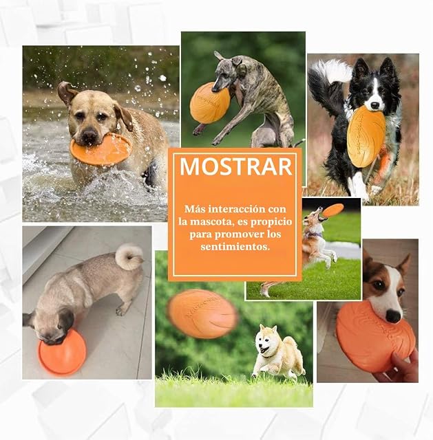 Foto 3 de 4 de Perros interactivos Frisbee,2 Pcs Frisbee Perro,Juguete de disco volador para perro,Para Adiestramiento…
