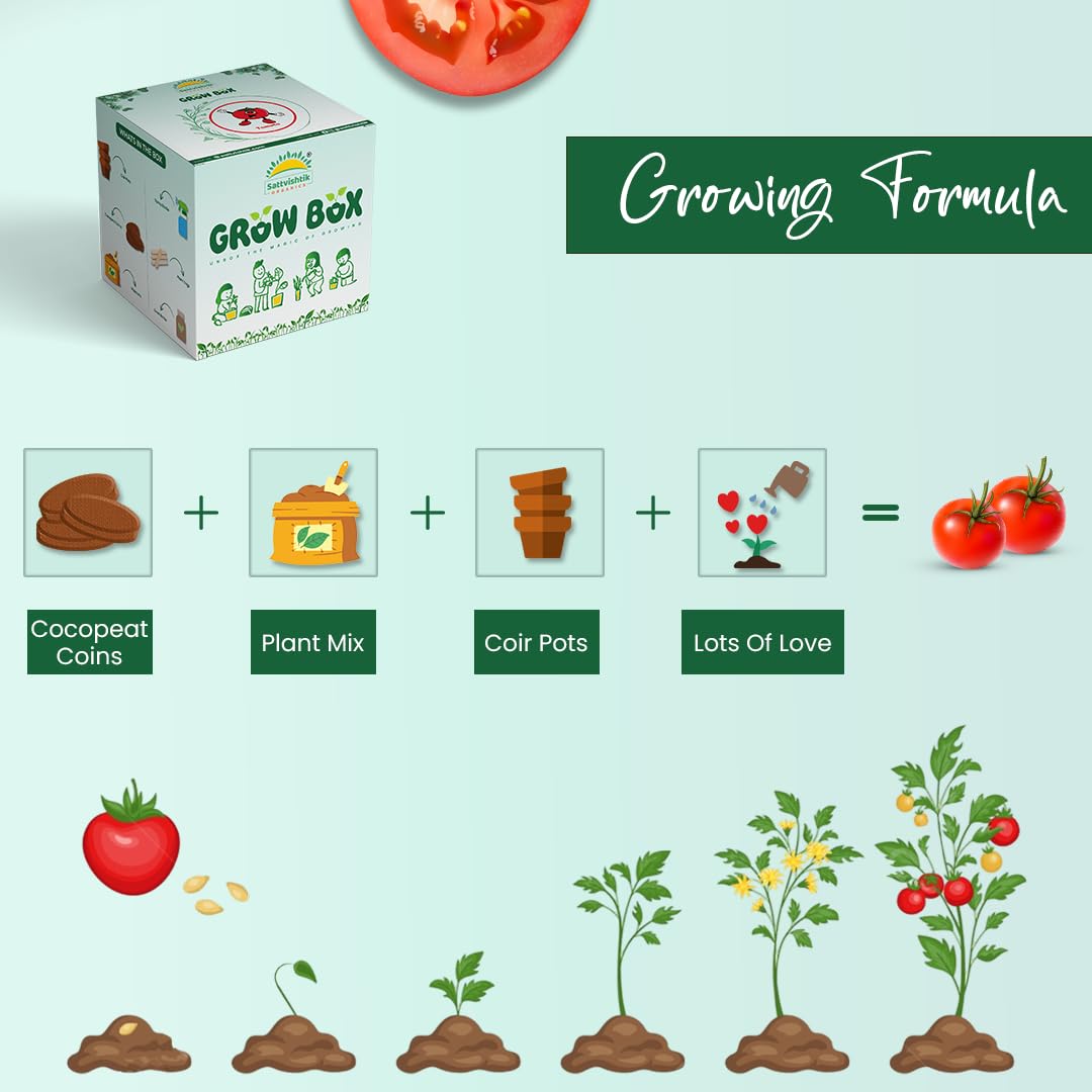 Sattvishtik Grow Box Tomato Vegetable Kit for Kids | Pack of 1 | Eco Friendly Gift for Kids | Beginner Gardeners | DIY | Easy Grow it Yourself Gardening Kit for Home & Garden 1