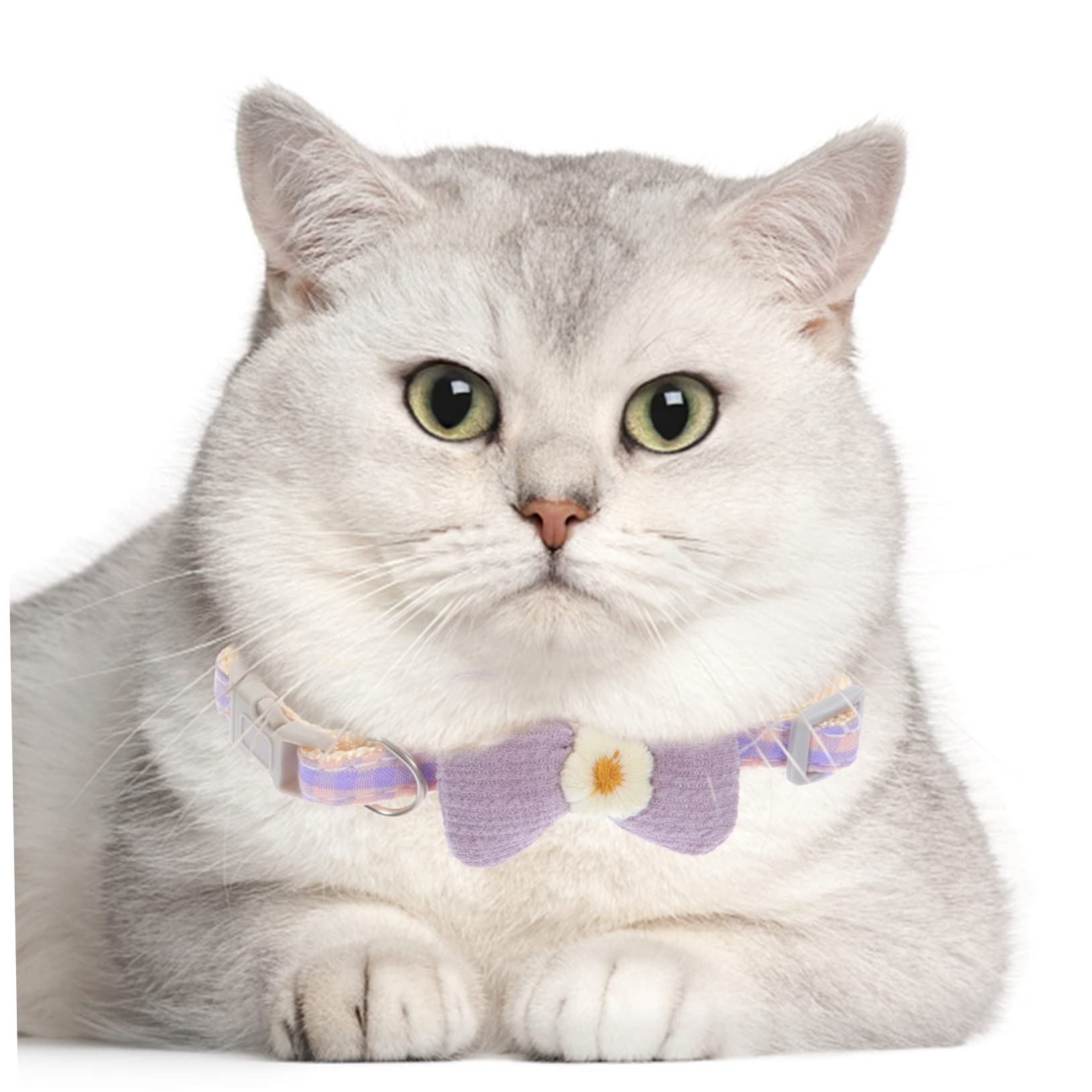 Amosfun 10stücke Verstellbares Katzenhalsband Mit Schleife Dekoratives Haustierhalsband Für Tägliches Tragen Partys Und Besondere Anlässe
