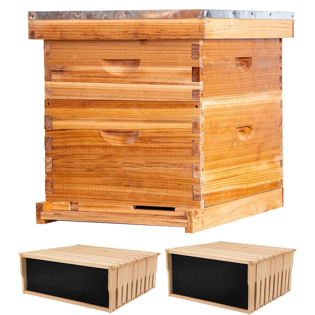 10 Frame Langstroth Beehive, High-Temp Penetrating Beeswax Coated 20mm Thick Pine Hive Starter Kit, Pre-Drilled for Easy Assembly, with 20 Sprayed Beeswax Foundations (10 Frames 2 Layers)