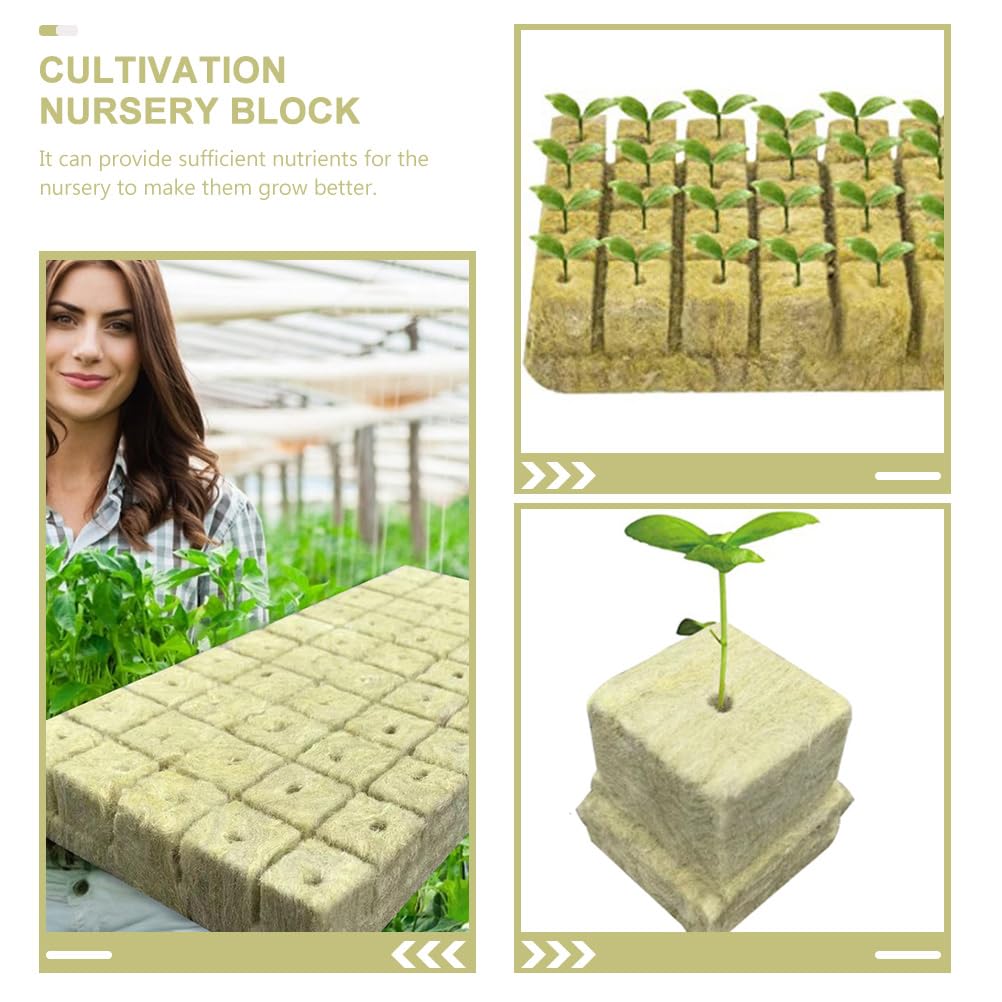 Roccia Cubi di Lana 100pcs Grow Cube Starter in Lana di Roccia Cubetti di avviamento in Lana di Roccia Blocchi di nutrienti (Color : 4X2.5cm)