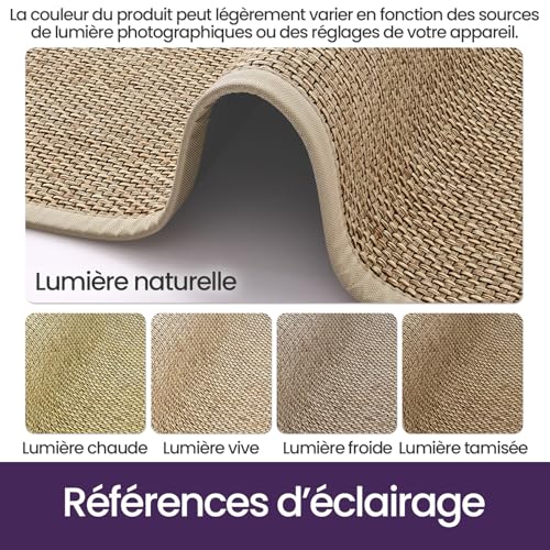 Tapis d entrée absorbant et antidérapant DEXI profil bas - 4