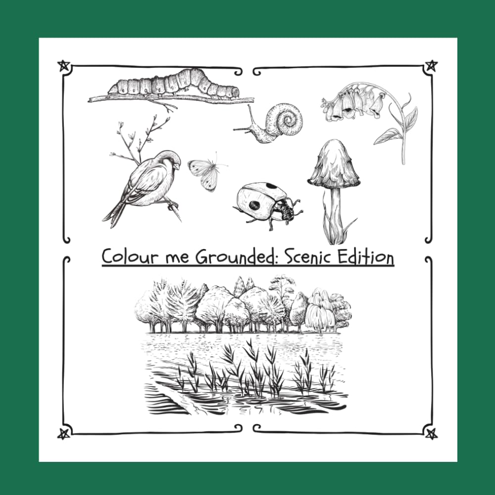 Colour Me Grounded: Scenic Edition: Peaceful landscapes and Gentle Escapes for Calm and Reflection