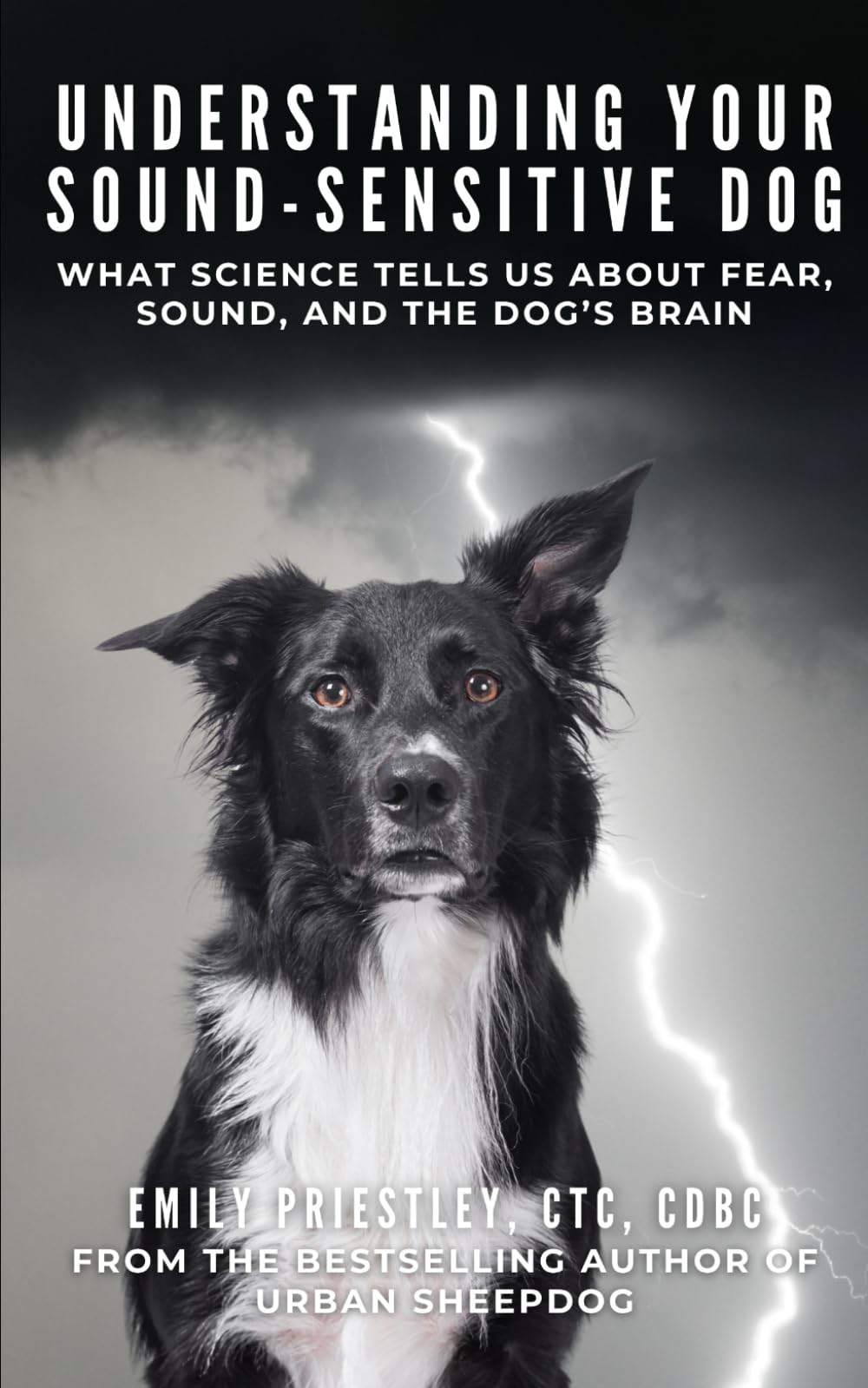 Understanding Your Sound-Sensitive Dog: What Science Tells Us About Fear, Sound, and the Dog’s Brain