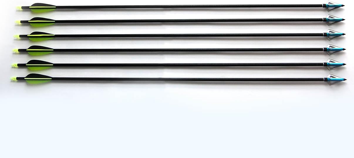 32" Fiberglass Arrows with Screwin Arrow Points with