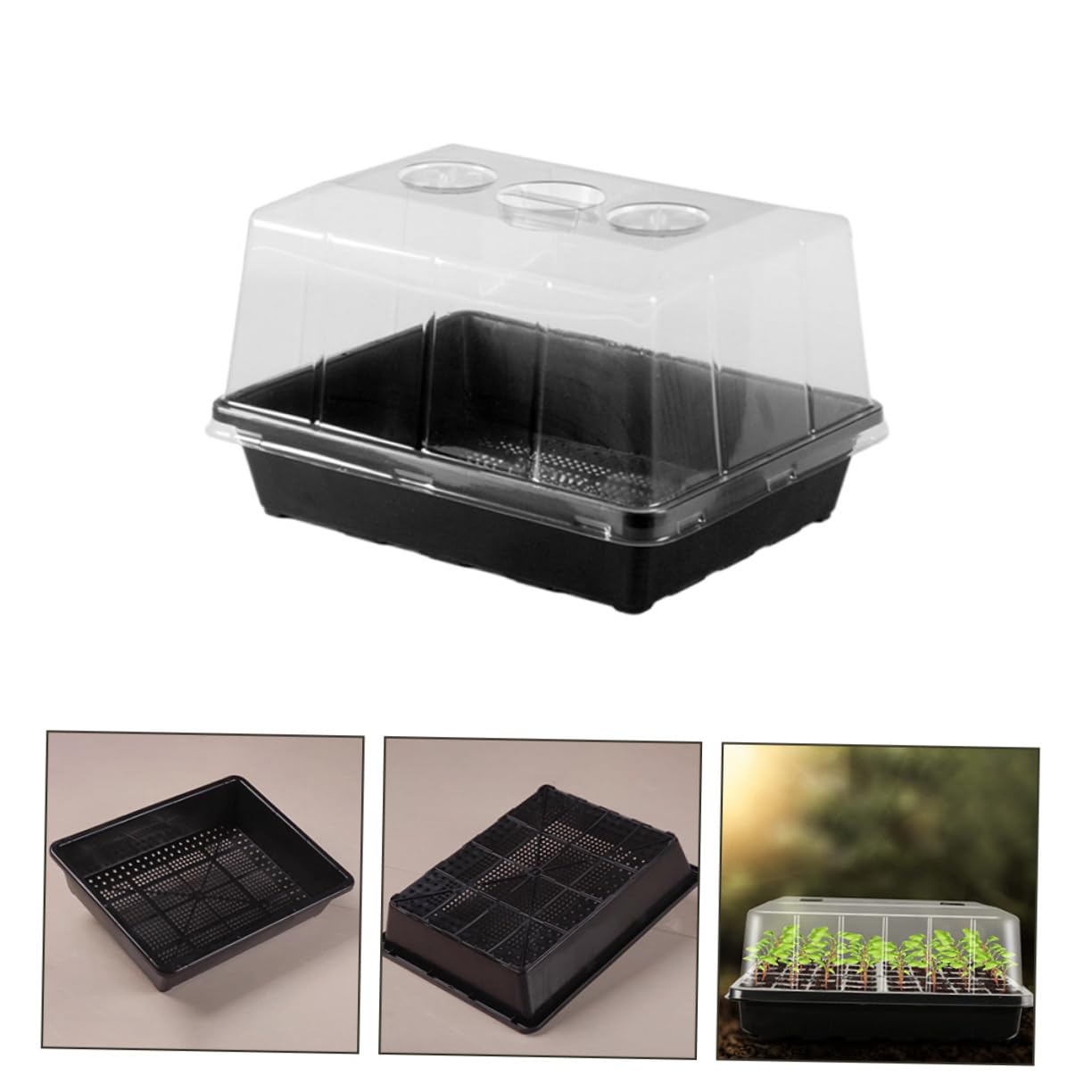 Plateau de Germination pour Semis, Lot de 1 Set, Plastique , avec Couvercle