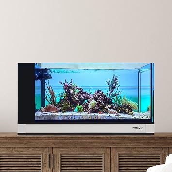 Innovative Marine Fusion Pro 2-20 Gallon Peninsula All in One AIO Aquarium w/APS Pedestal - White