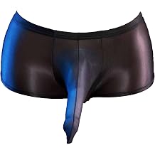 MSemis Mens See-Through Boxer Briefs Oil Silk Low Rise Sheath Elephant Nose Underwear Pouch Panties