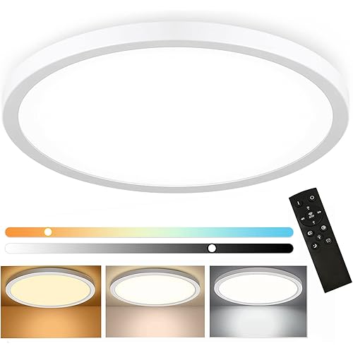 48W Dimmable LED Flush Mount Ceiling Light, 20 Inch Large Modern Round Ceiling Light with Remote Control, 3000K-6500K Selectable, Super Slim Flat Panel Lights for Bedroom Kitchen Living Dining Room