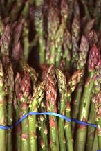 recipe notebook - asparagus - 6 x 9 inches: 100 pages