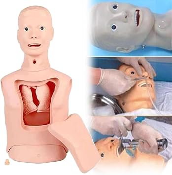 Intubation Gastric Tube Model Training Manikin Training Advanced Nasogastric Tube and Trachea Care Model Gastric Lavage Tracheostomy Model for Nurse and Medical Students Large