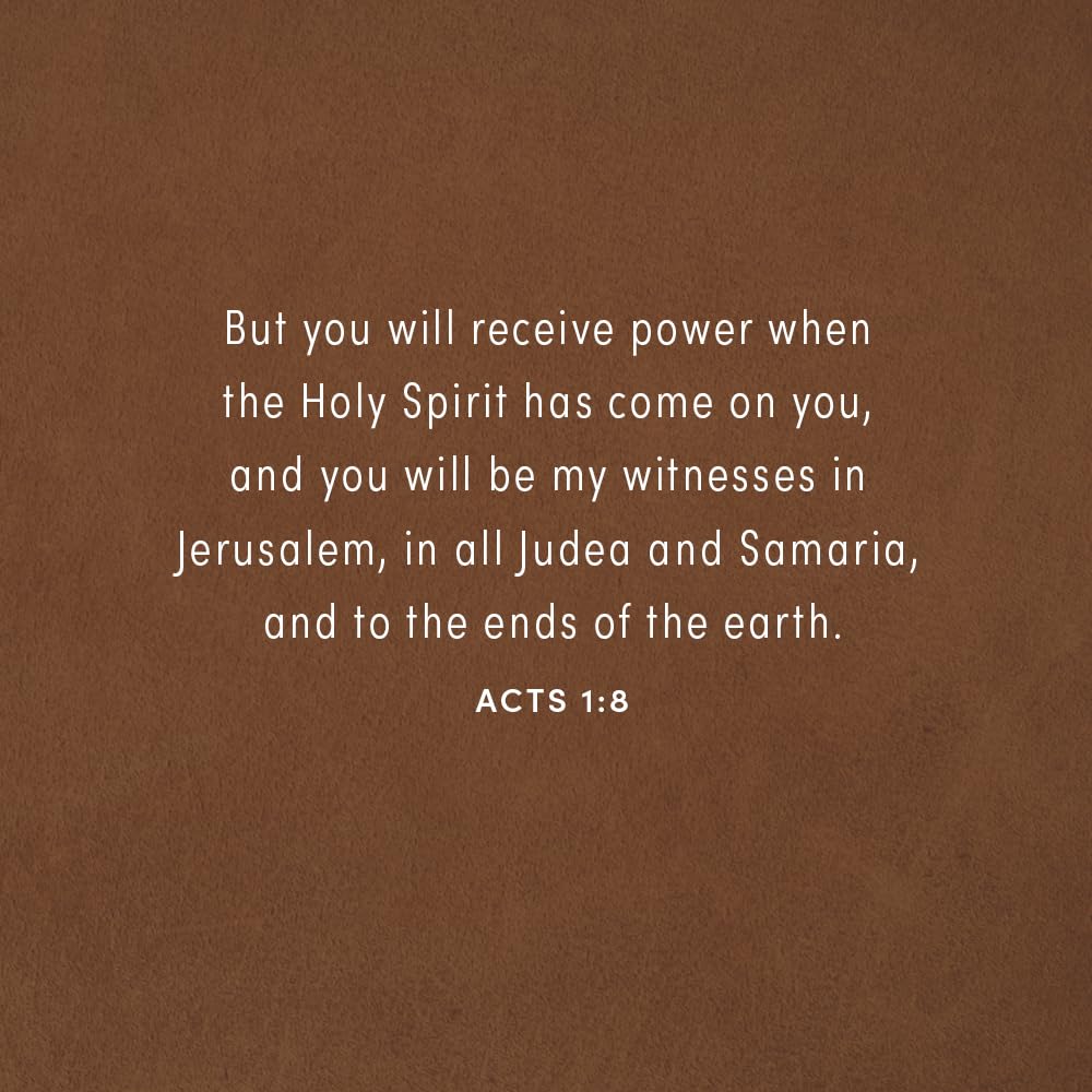 The Gospel on the Ground: The Grit and Glory of the Early Church in Acts - Bible Study for Women with Video Access