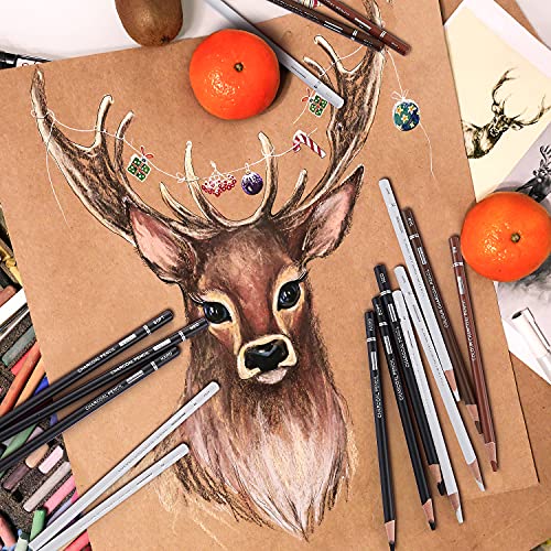 PANDAFLY Charcoal Pencils Drawing Set, 8 Pieces Black White Charcoal Pencils for Sketching, Shading, Blending, Colored Charcoal Pencils for Beginners & Artists