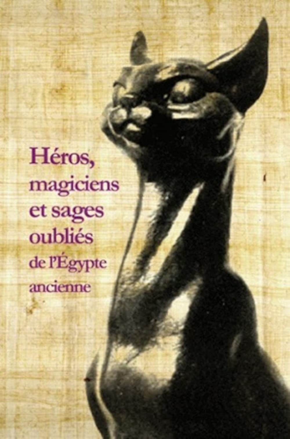 Héros, magiciens et sages oubliés de l'Egypte ancienne: Une anthologie de la littérature en égyptien démotique