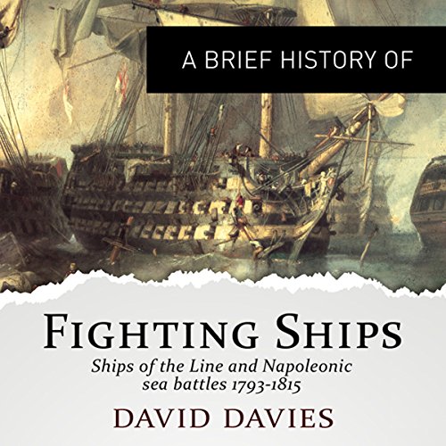 A Brief History of Fighting Ships - David Davies