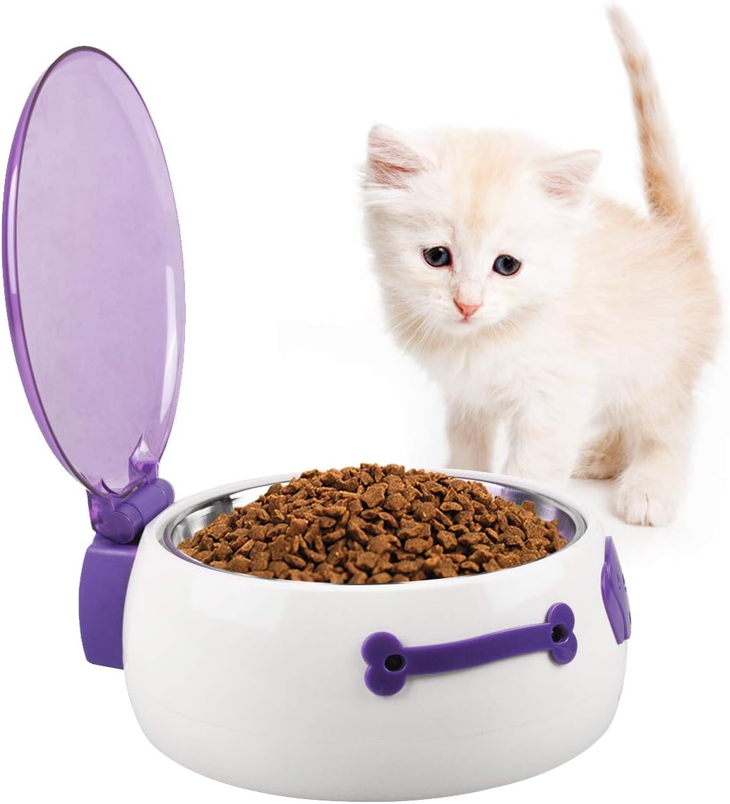 automatic cat bowl