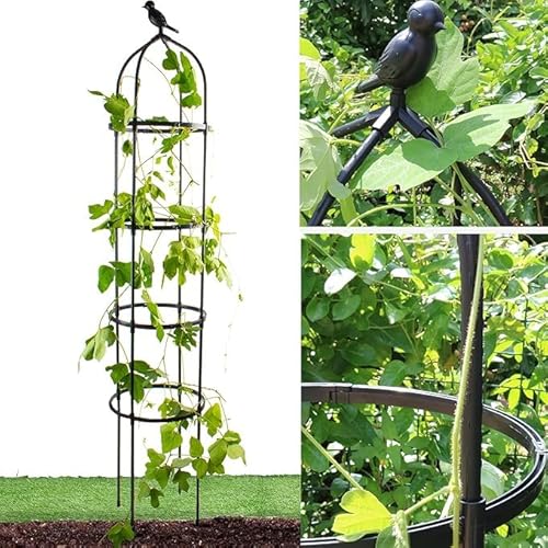 CHEOAR 175CM Obelisks Trellis for Climbing Plants, 6FT Clematis Support Rose Trellis, Black, Metal & Plastic, Round, Modern, Climbing Plant Support Structure