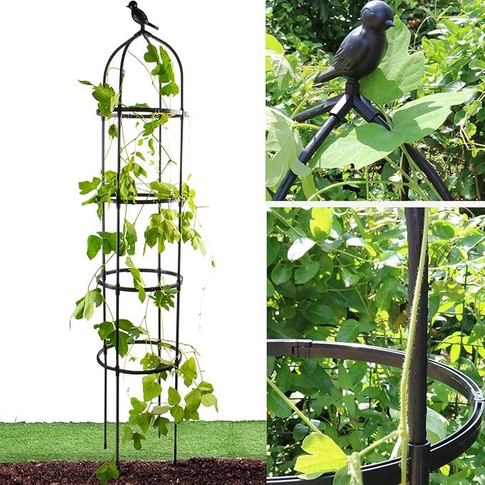 CHEOAR 175CM Obelisks Trellis for Climbing Plants 6FT Clematis Support Rose Trellis, Black, Metal & Plastic, Round, Modern