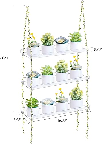 Miniatura 2 de Sumerflos Cajas de ventana de acrílico para plantas, estantes de 3 niveles, estante colgante transparente para interiores, cordel de yute ajustable,