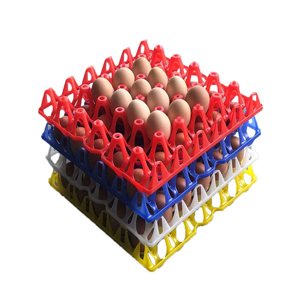 Lot de 5 plateaux à œufs en plastique pouvant contenir 30 œufs - 4 couleurs