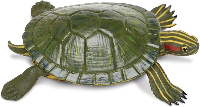 Safari Ltd. Red-Eared Slider Turtle Figurine - Realistic 5.25" Model Figure - Educational Toy for Boys, Girls, and Kids Ages 18M+