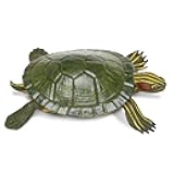 Safari Ltd. Red-Eared Slider Turtle Figurine - Realistic 5.25