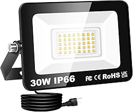 Willpower Outdoor LED Spotlight 30W 3000LM, LED Spotlight with Plug 3000 K Warm White IP66 Projector Security Light for Garage Garden Yard Patio Square Workshop