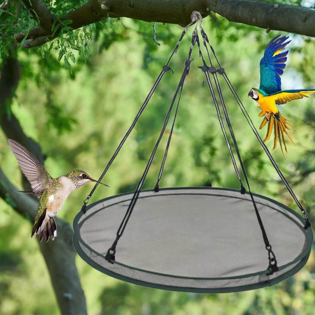 Plateau Récupérateur De Graines Pour Oiseaux, Mangeoire Universelle
