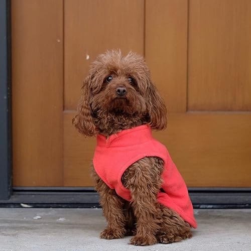 Gooby Fleece Vest Dog Sweater - Pumpkin, Large - Warm Pullover Fleece Dog Jacket With O-Ring Leash - Winter Small Dog Sweater Coat - Cold Weather Dog Clothes For Small Dogs Boy Or Girl #TOP4