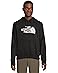 The North Face Evolution Half Dome Regular Hoodie - Main View