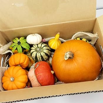 Amazon.co.jp: ハロウィンかぼちゃセット10個入（Lサイズのかぼちゃ1個