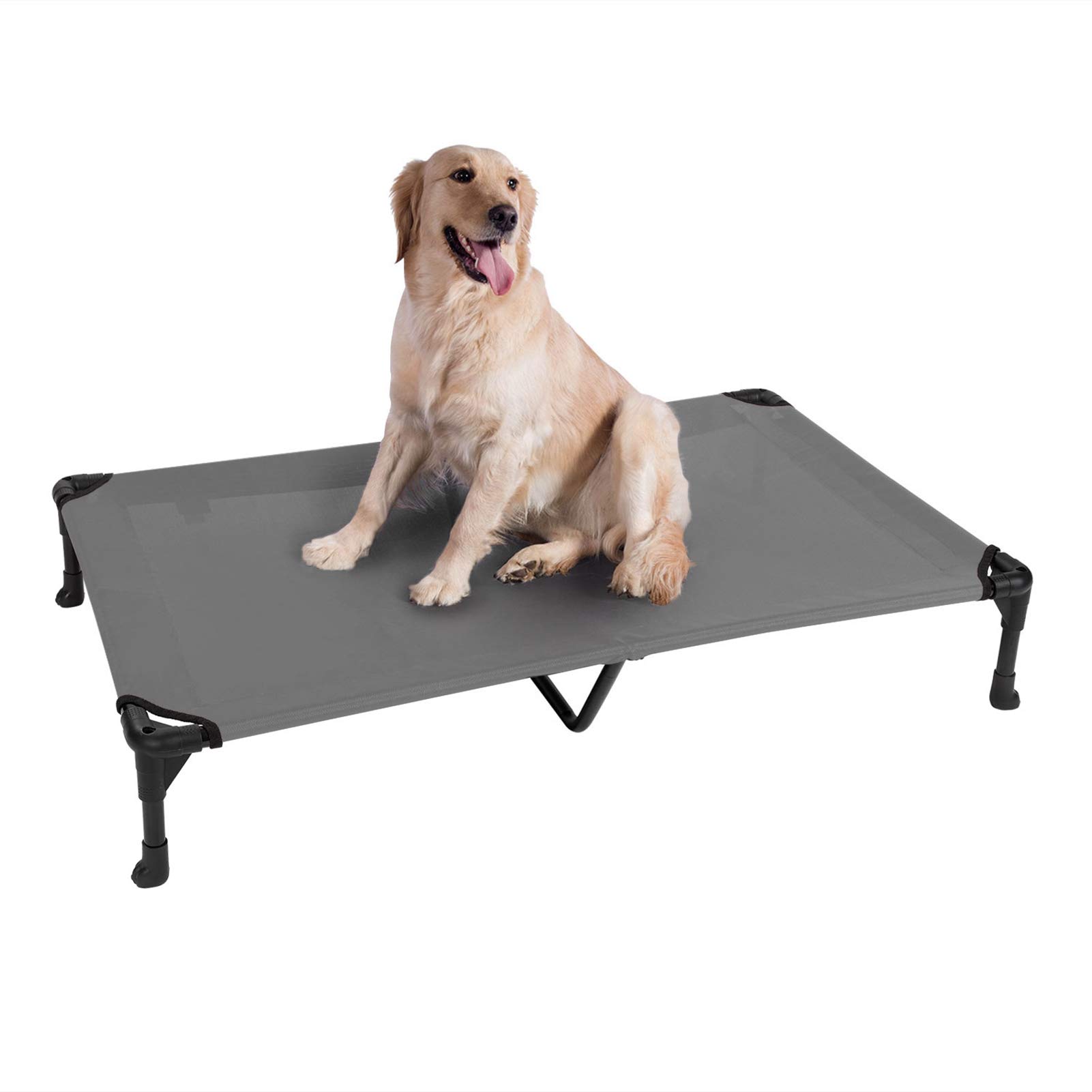 portable elevated dog bed
